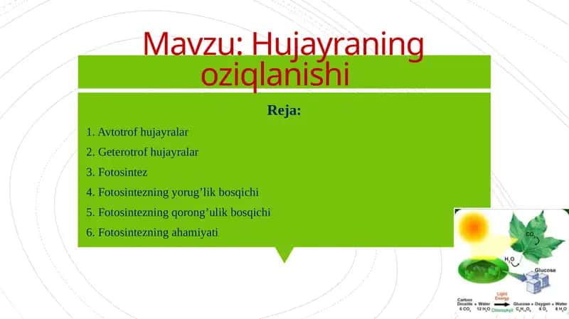 Hujayraning oziqlanishi