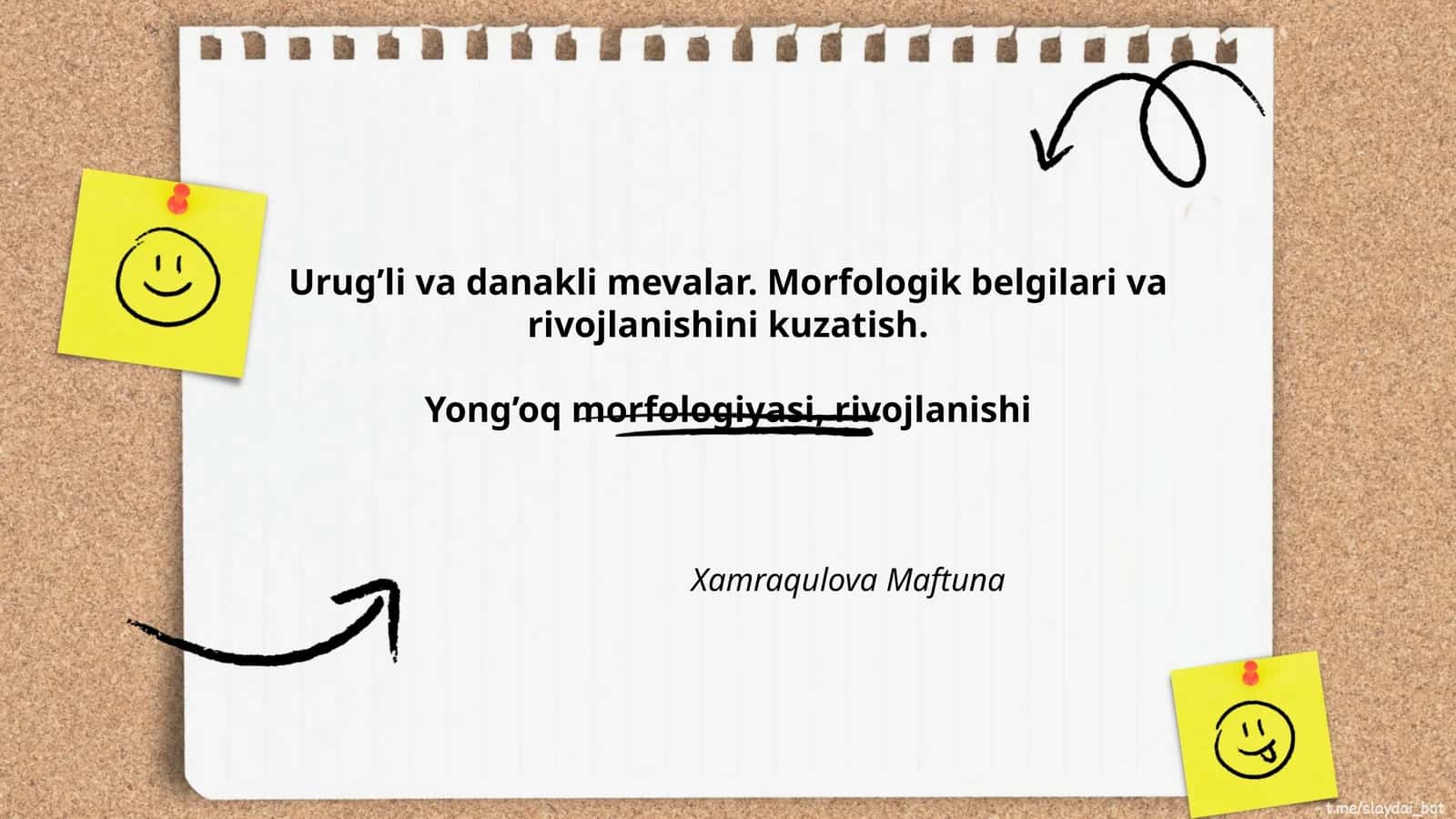 Yong’oq morfologiyasi, rivojlanishi