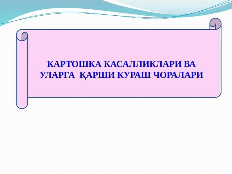 КАРТОШКА КАСАЛЛИКЛАРИ ВА УЛАРГА  ҚАРШИ КУРАШ ЧОРАЛАРИ