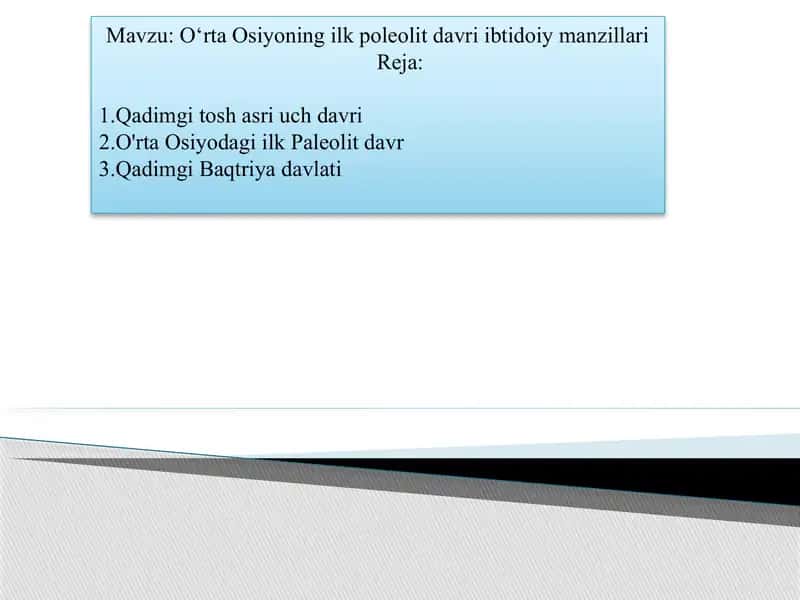 O‘rta Osiyoning ilk poleolit davri ibtidoiy manzillari