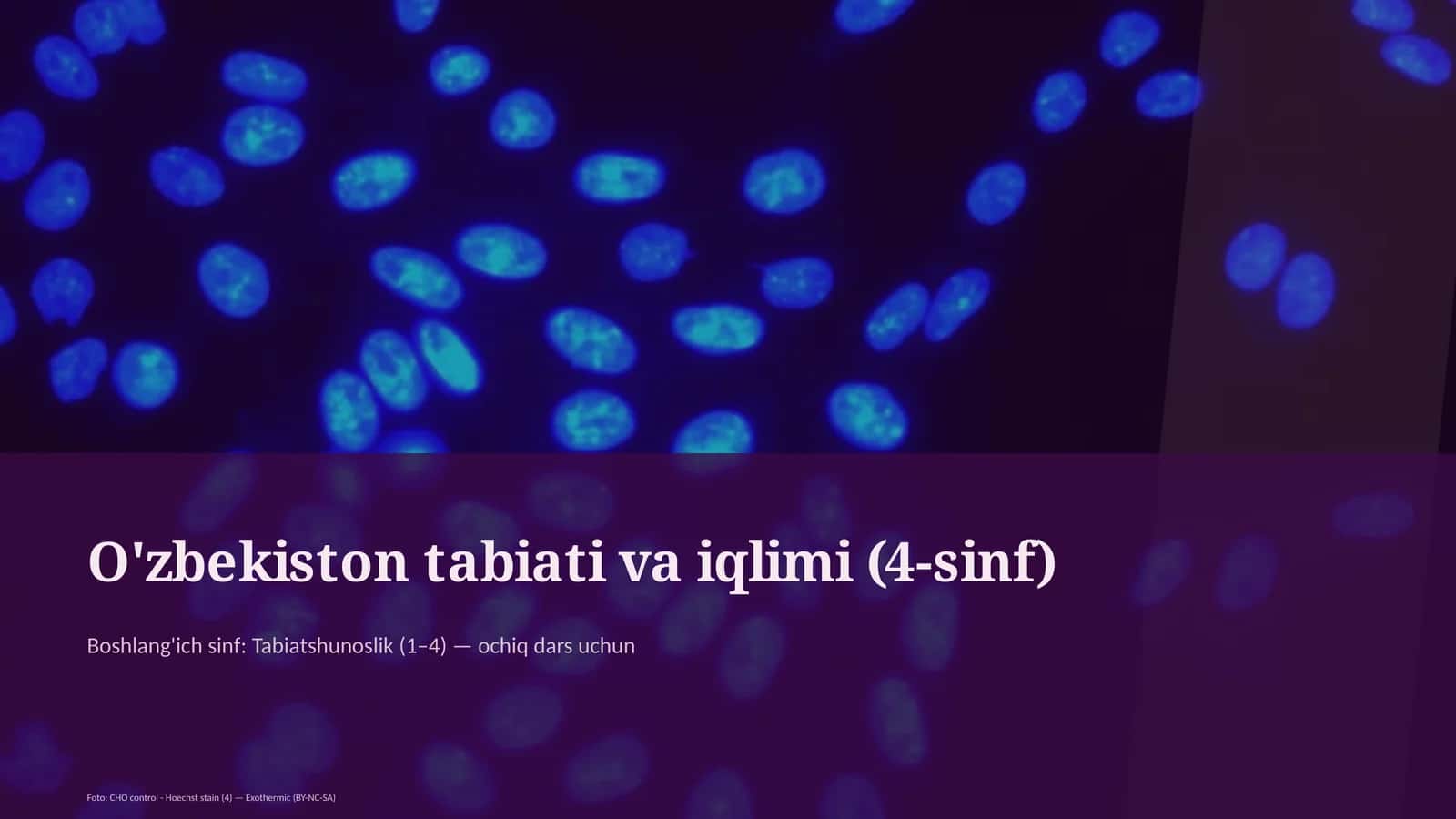 O'zbekiston tabiati va iqlimi (4-sinf)