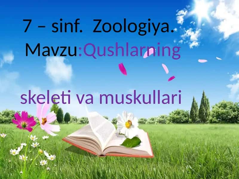 7 –sinf Zoologiya