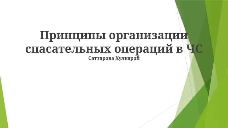 Принципы организации спасательных операций в ЧС