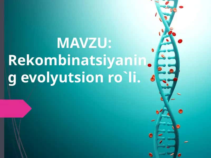 Rekombinatsiyaning evolyutsion ro`li.