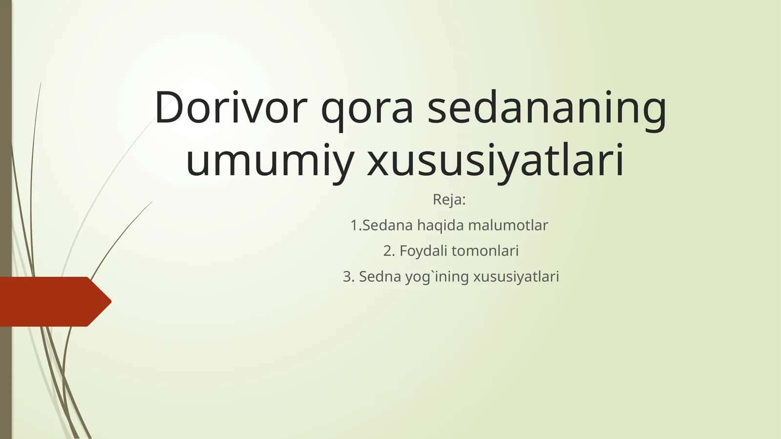 Dorivor qora sedana
