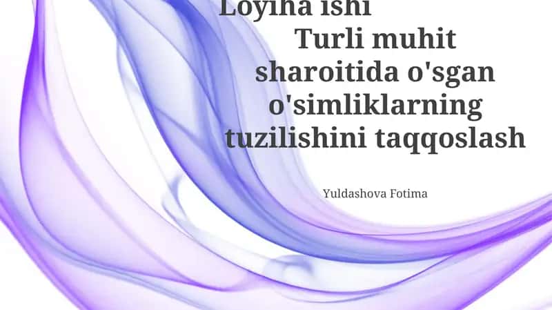 O'simlik Tuzulişidagi O'zgarishlarning Ekologik Omillar bilan Bog'liqligi