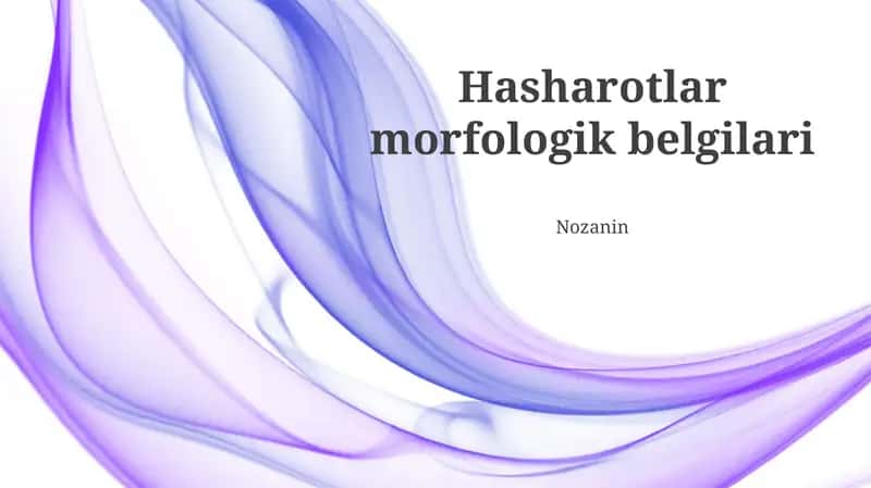 Hasharotlar morfologik belgilari