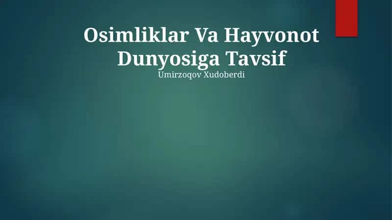 Osimliklar Va Hayvonot Dunyosiga Tavsif