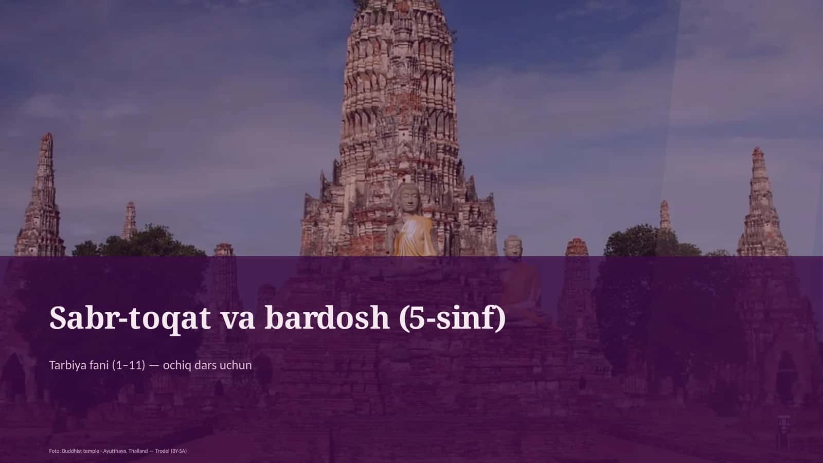 Sabr-toqat va bardosh (5-sinf)