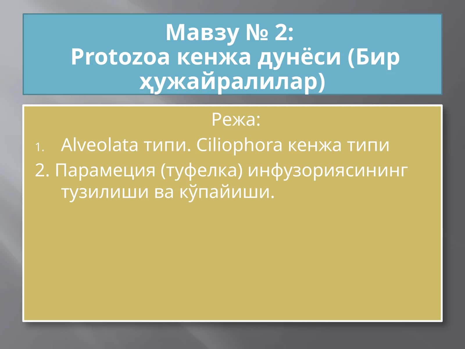 Protozoa кенжа дунёси (Бир ҳужайралилар)