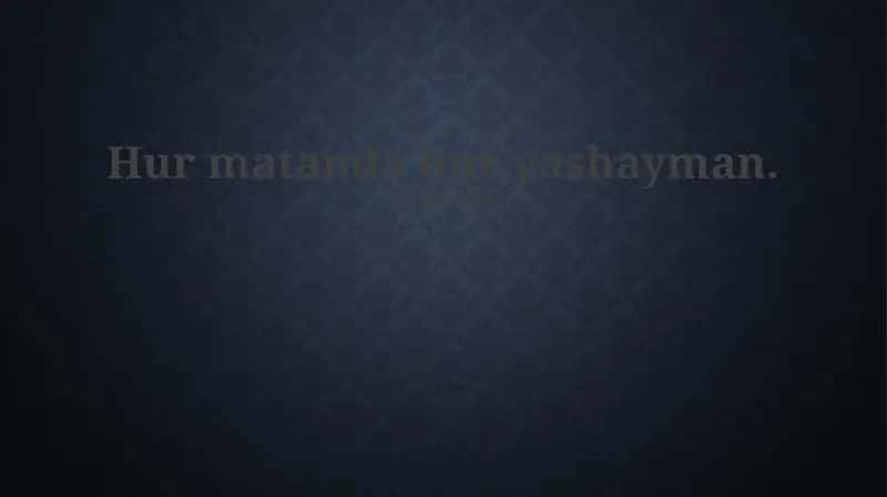 Sevimli mashg'ulotlarim
