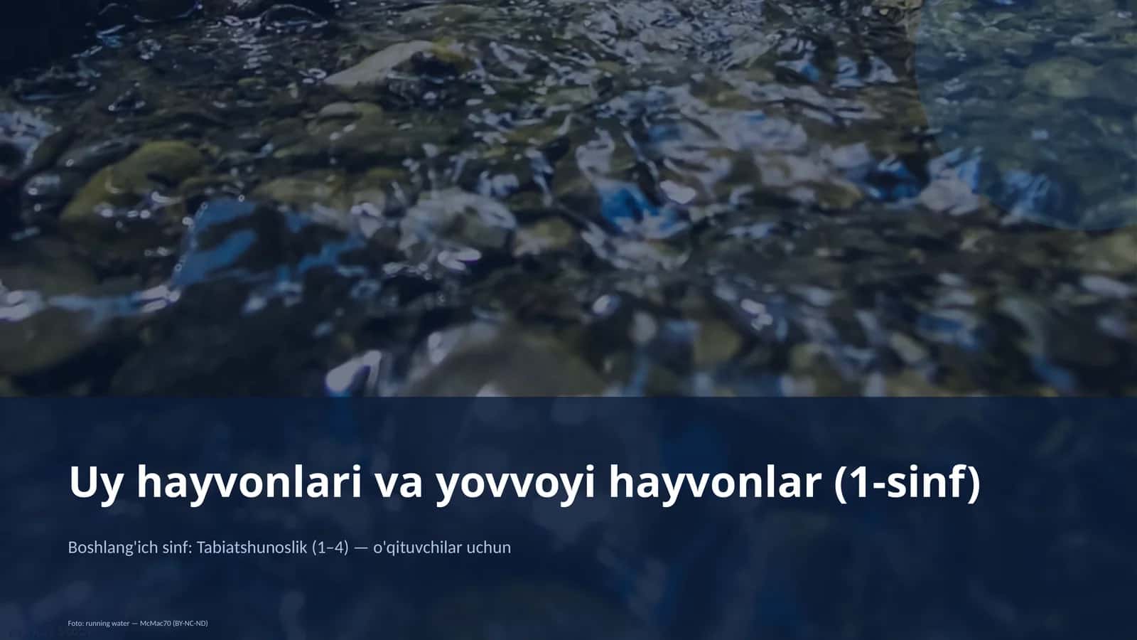 Uy hayvonlari va yovvoyi hayvonlar (1-sinf)