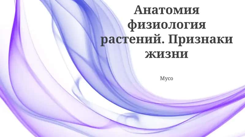O'simlik anatomiya va fiziologiyasi
