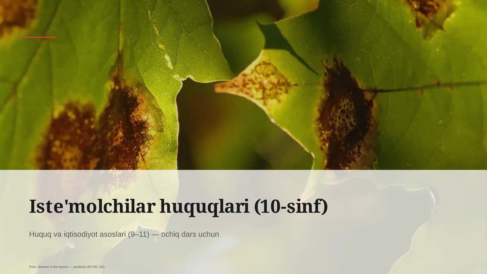 Huquq va iqtisodiyot asoslari (9–11) — ochiq dars uchun