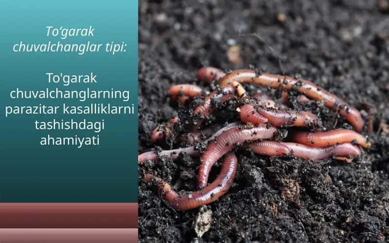 To‘garakchuvalchanglar