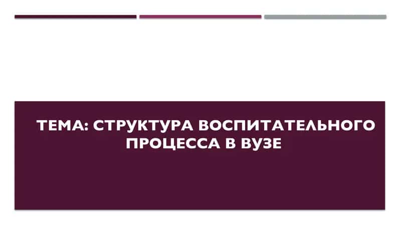 Структура воспитательного процесса в вузе