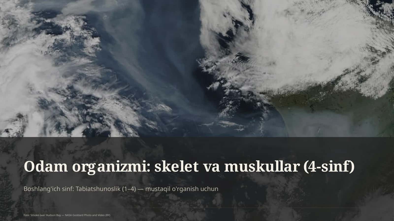 Odam organizmi: skelet va muskullar (4-sinf)