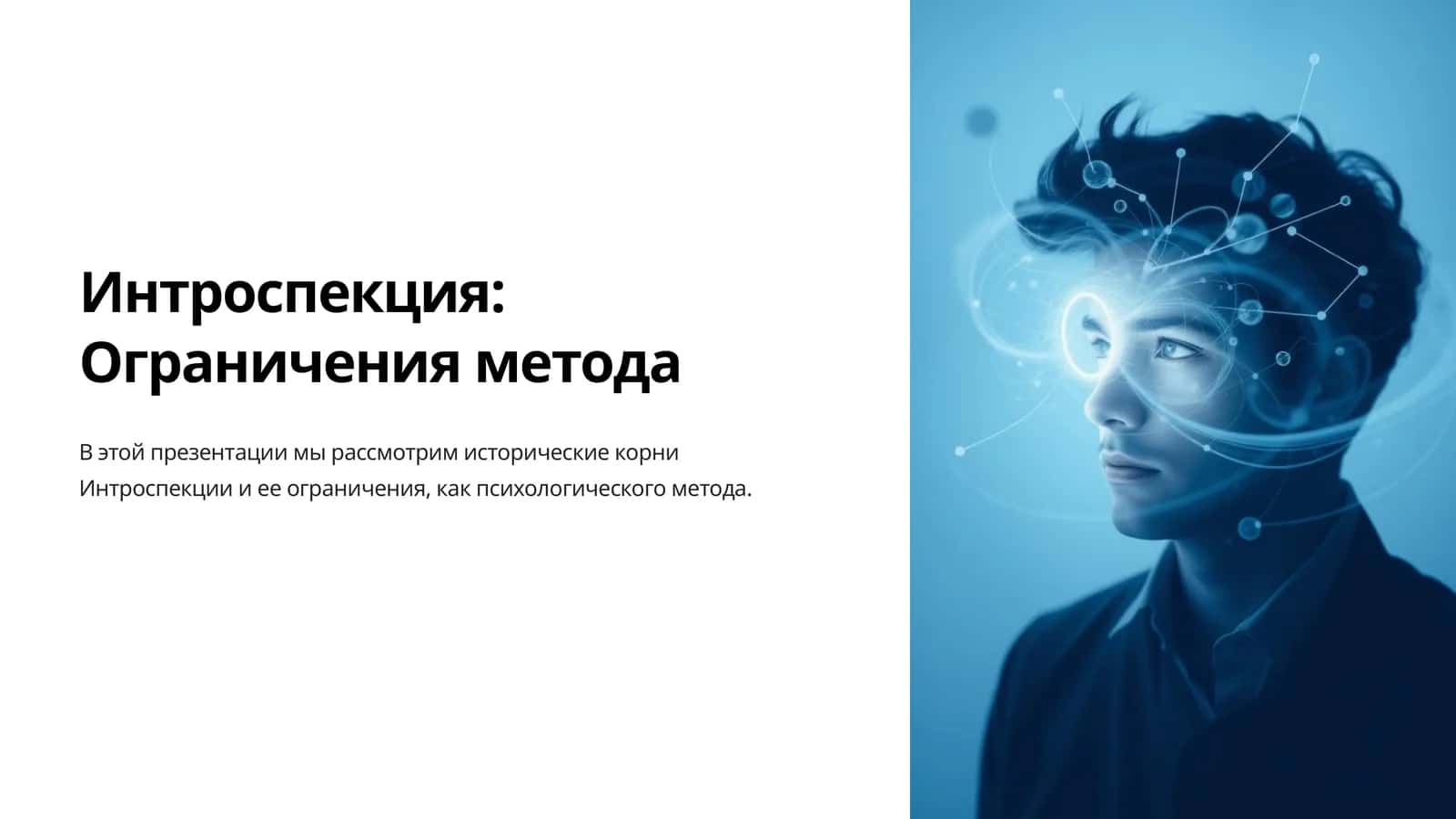 Интроспекция Ограничения метода