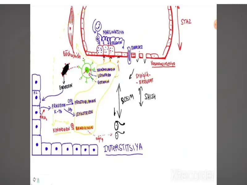 Яллигланиш