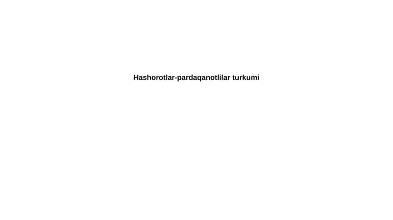Hymenoptera Hashorotlar