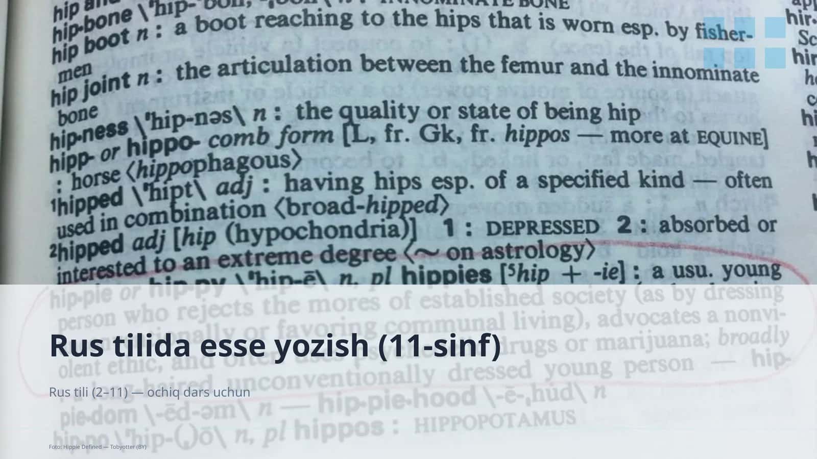Rus tilida esse yozish (11-sinf)