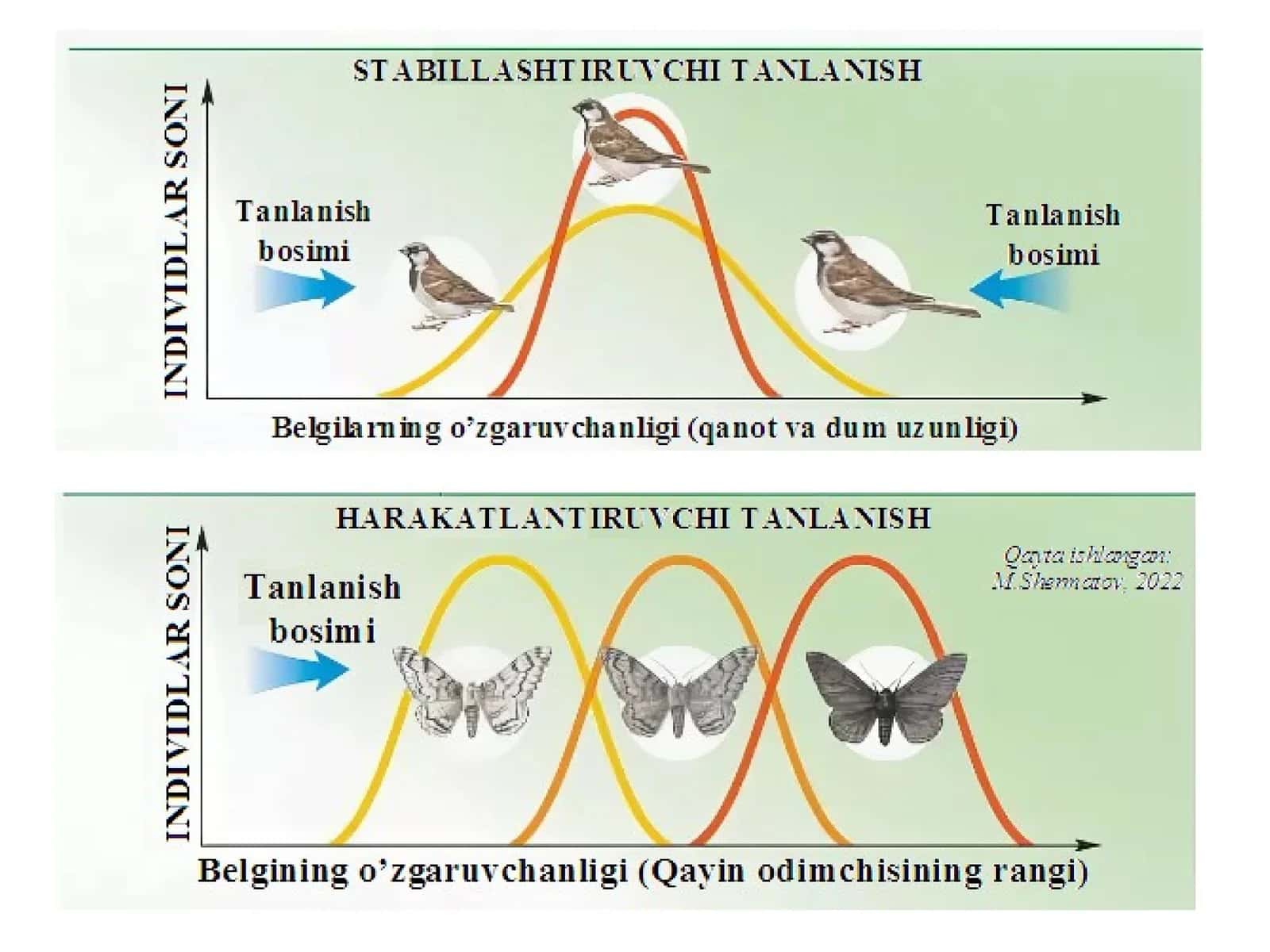 Jinsiy tanlanish