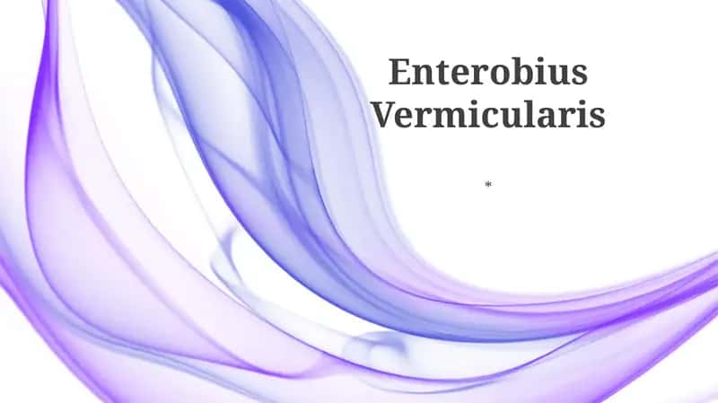 Enterobius Vermicularis