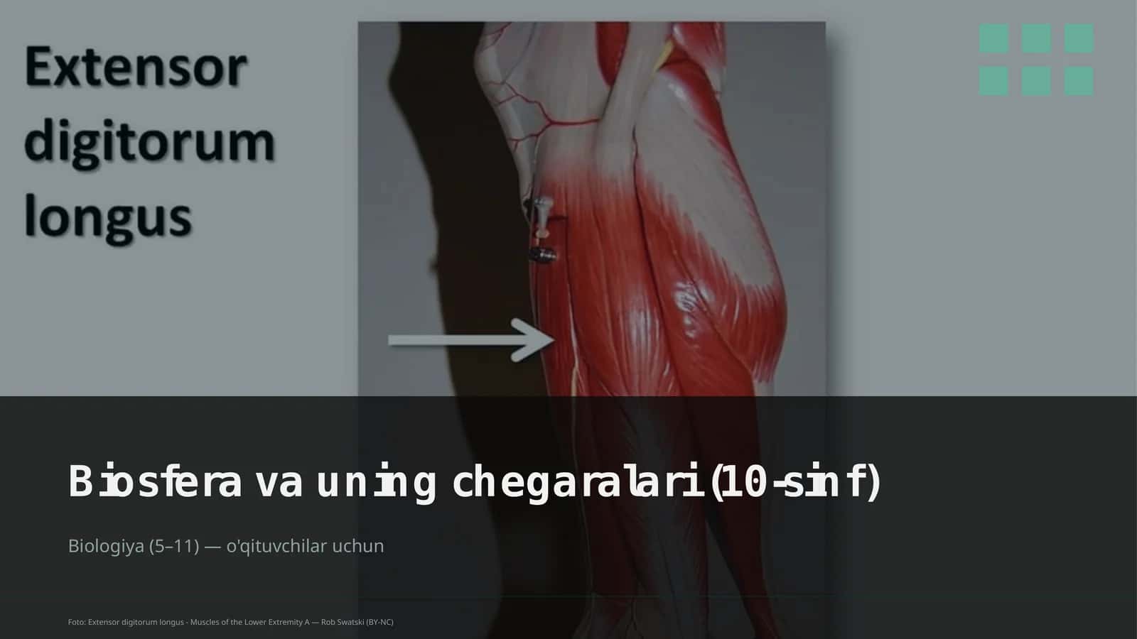 Biosfera va uning chegaralari (10-sinf)