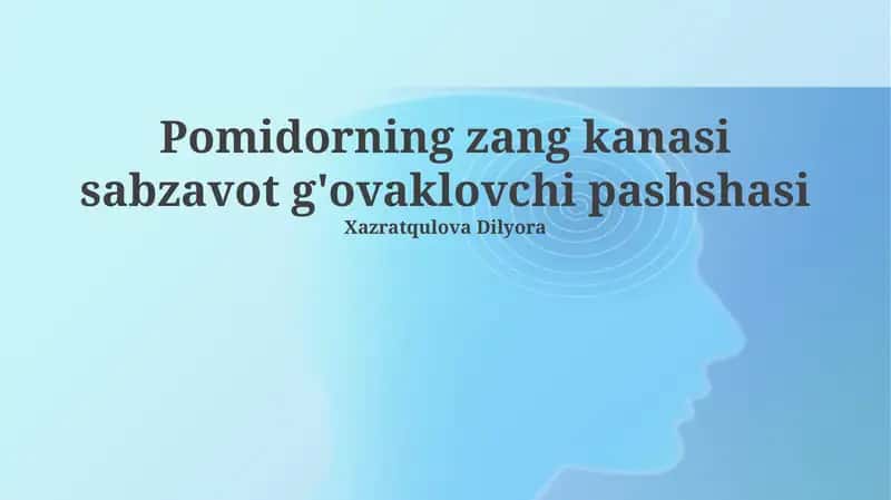 Pomidor zang kanasi sabzavot g'ovaklovchi pashshasi