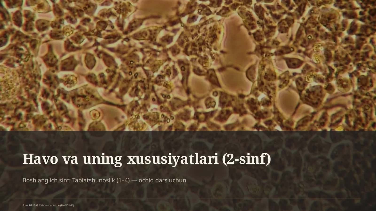Havo va uning xususiyatlari (2-sinf)