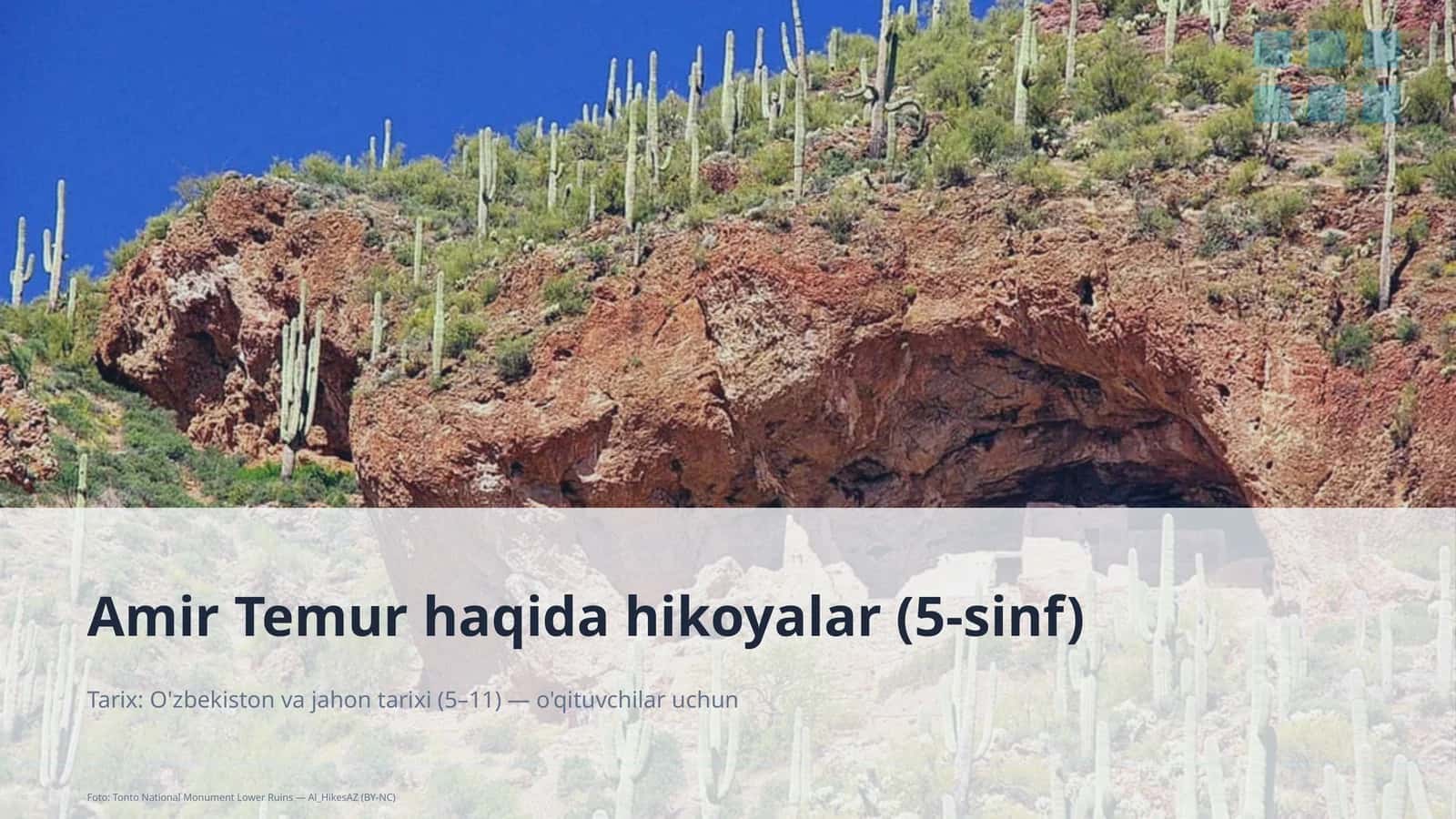 Amir Temur haqida hikoyalar (5-sinf)