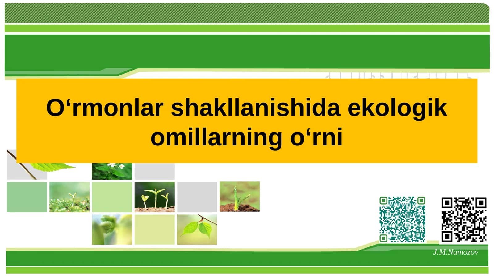 O‘rmonlar shakllanishida ekologik omillarning о‘rni