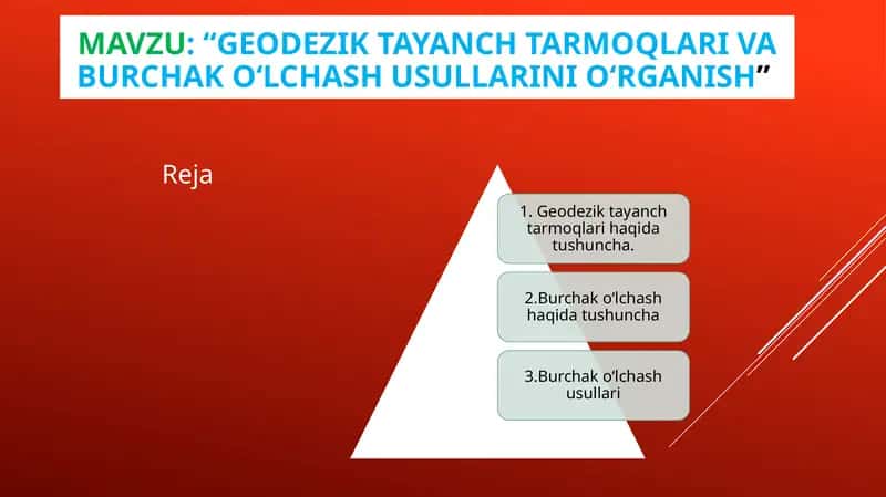 Geodezik tarmoq