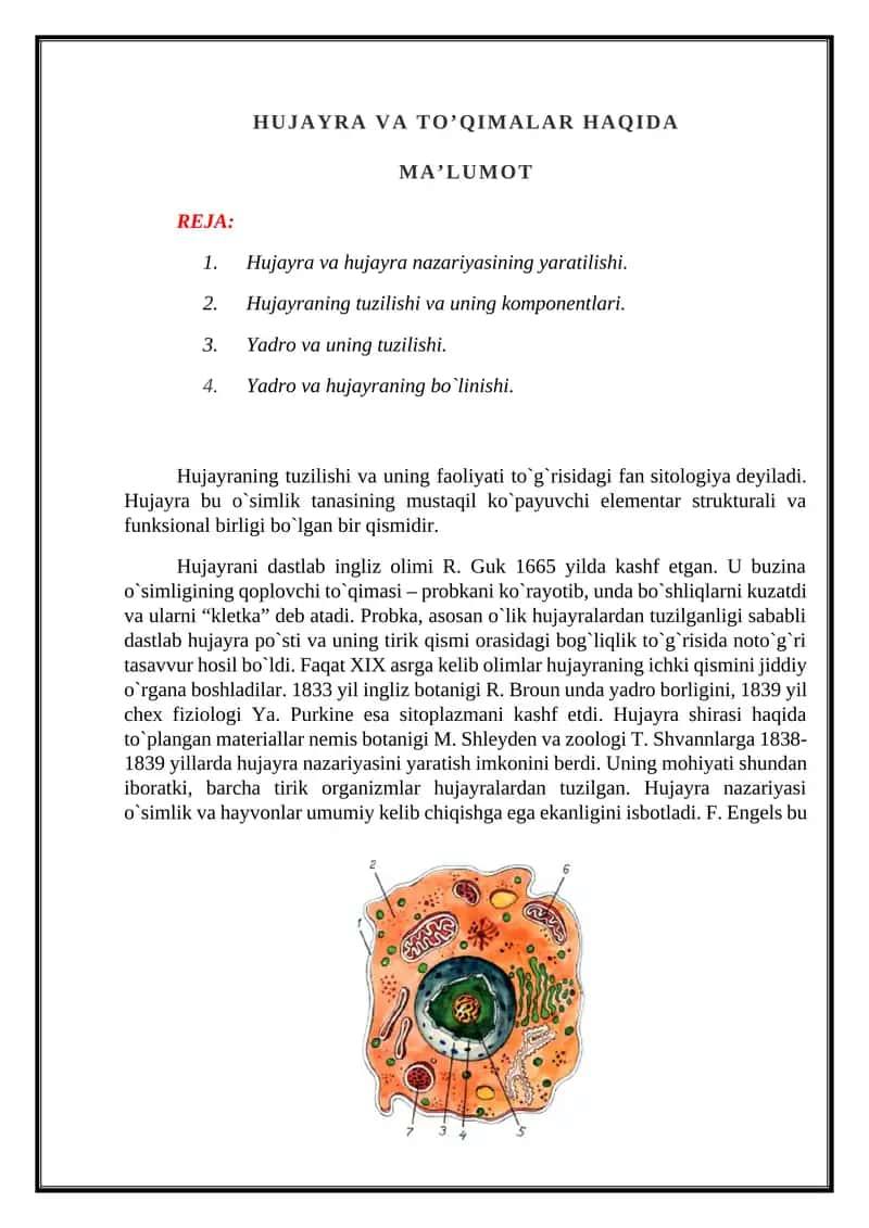 HUJAYRA VA TO’QIMALAR HAQIDA