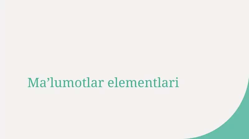 Ma’lumotlar elementlari