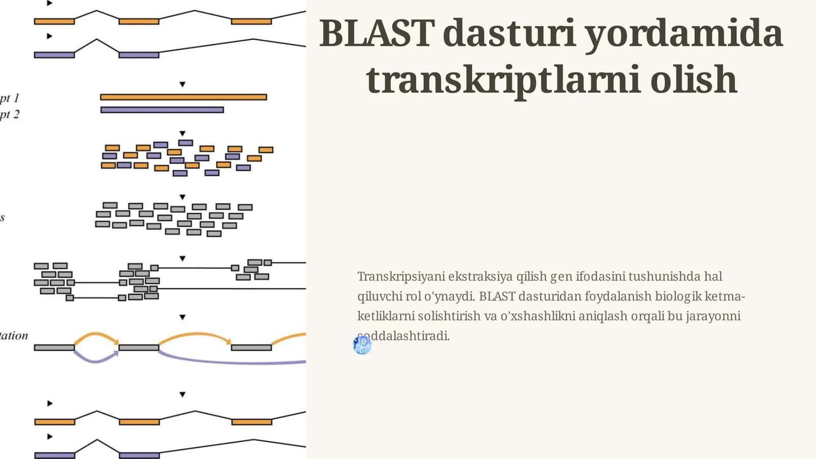 BLAST dasturi yordamida transkriptlarni olish