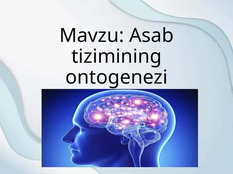 Asab tizimining ontogenezi