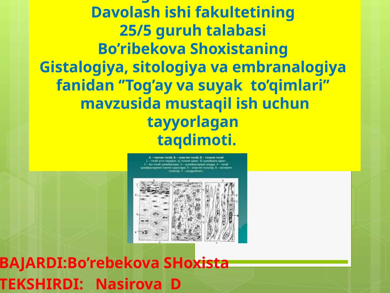 Tog’ay va suyakto’qimlari