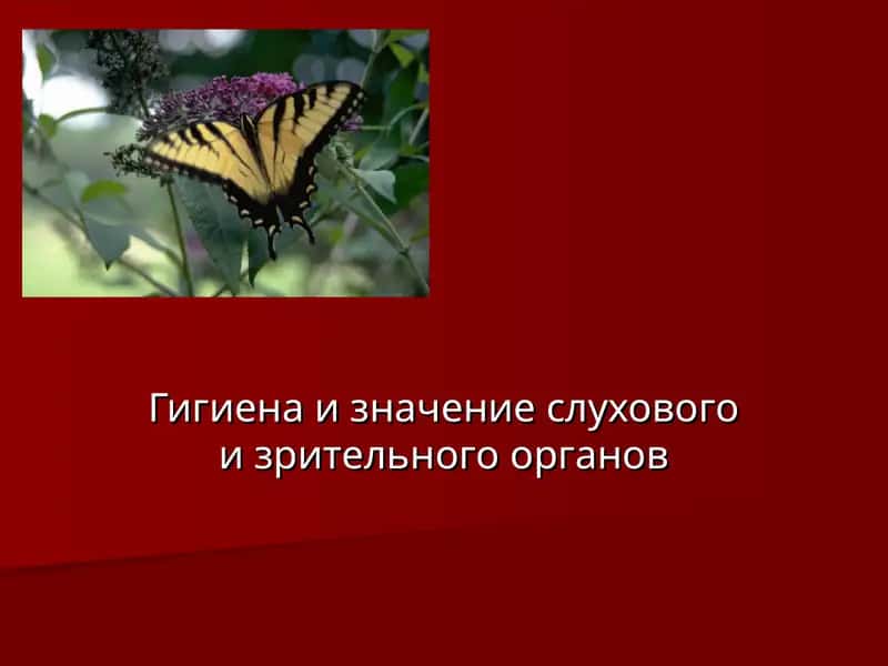 Гигиена и значение слухового и зрительного органов