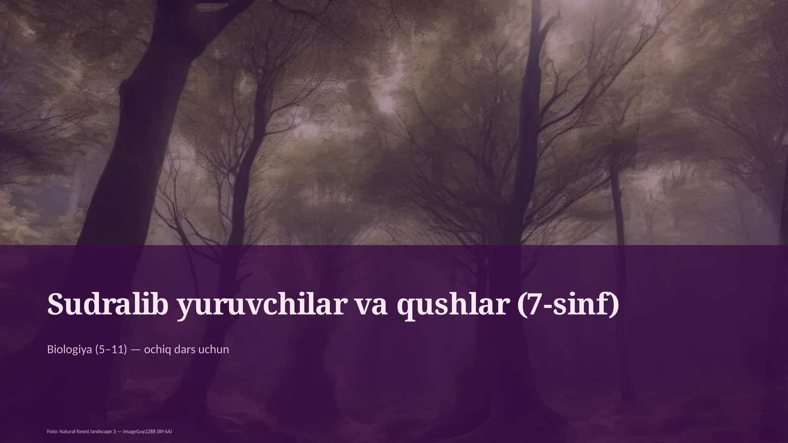 Sudralib yuruvchilar va qushlar (7-sinf)