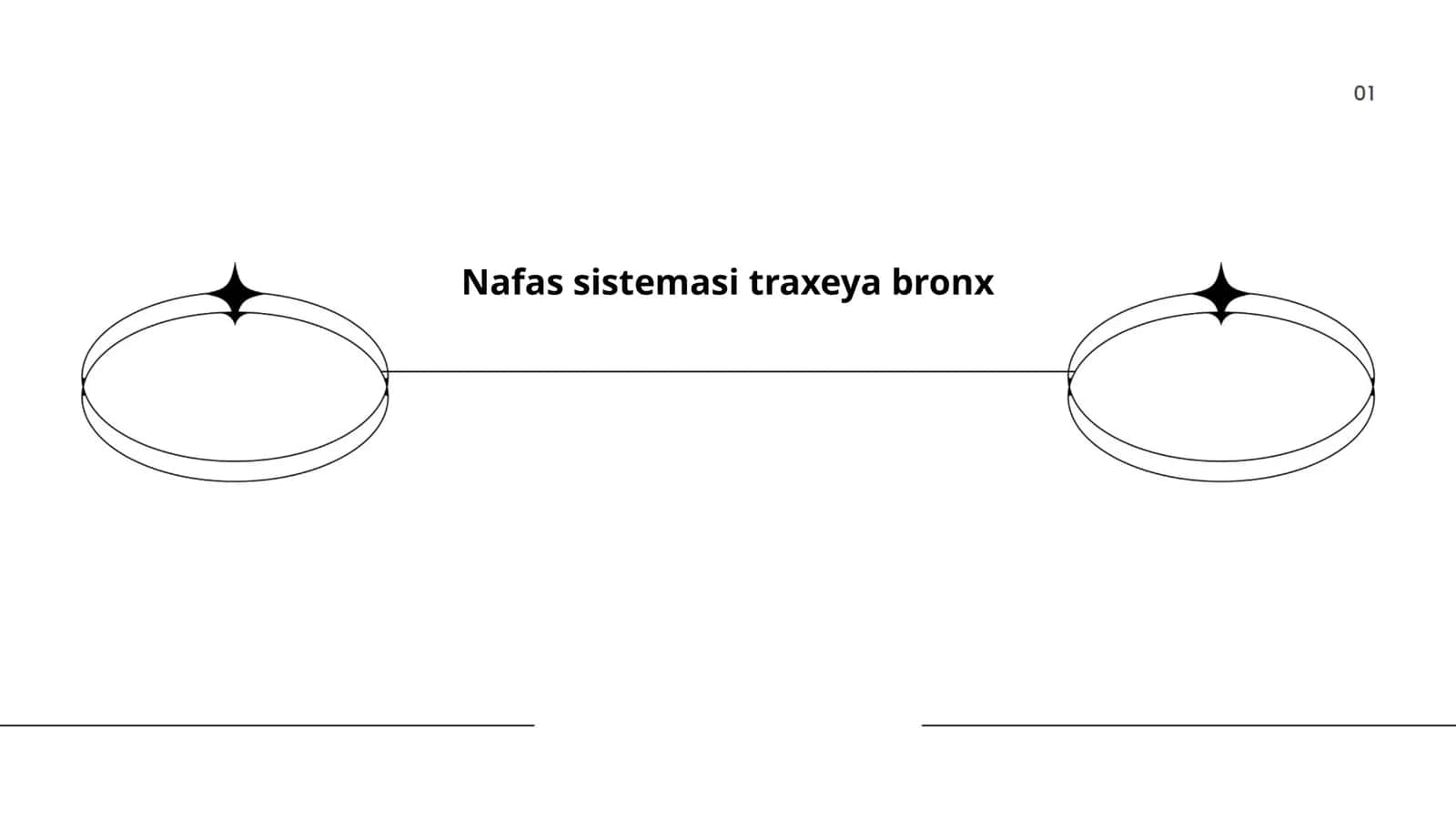 Nafas sistemasi traxeya bronx