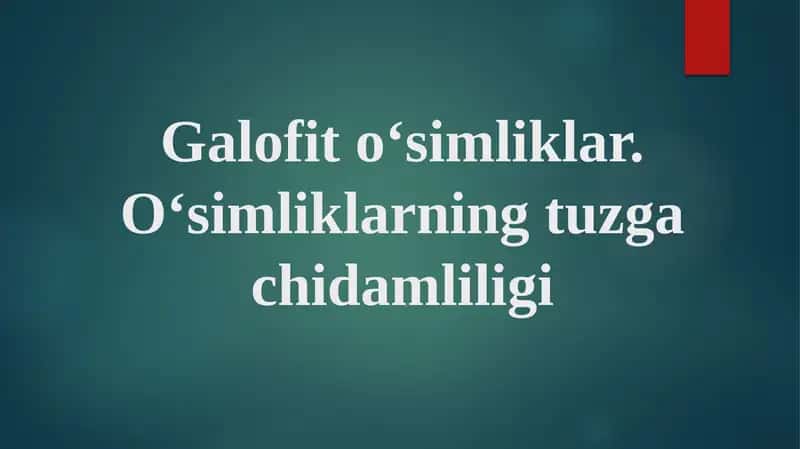 Galofito‘simliklar
