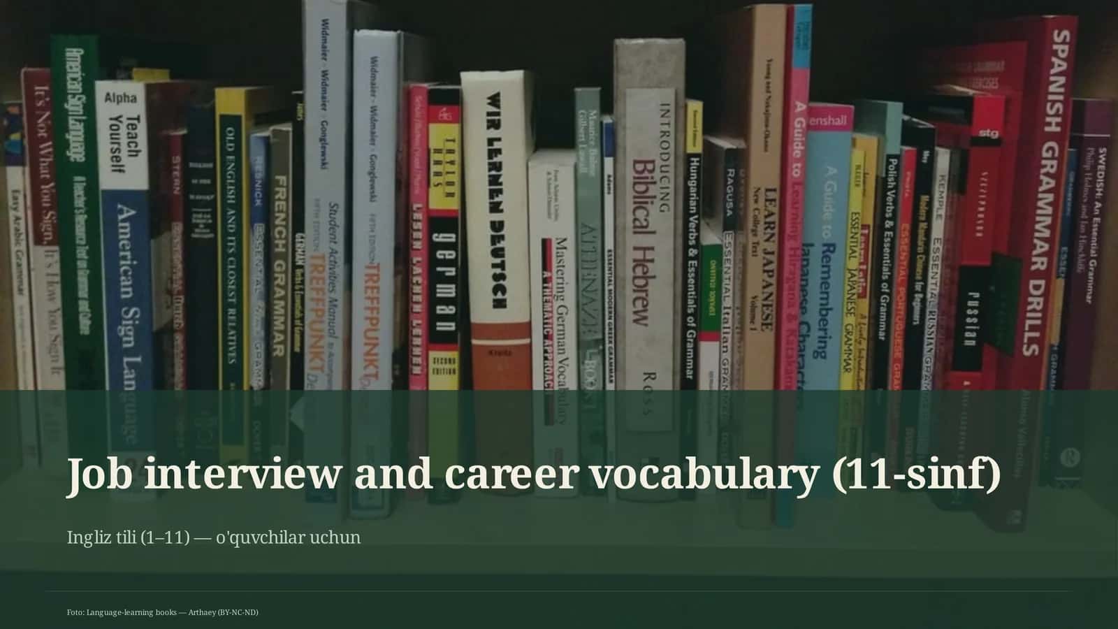 Job interview and career vocabulary (11-sinf)