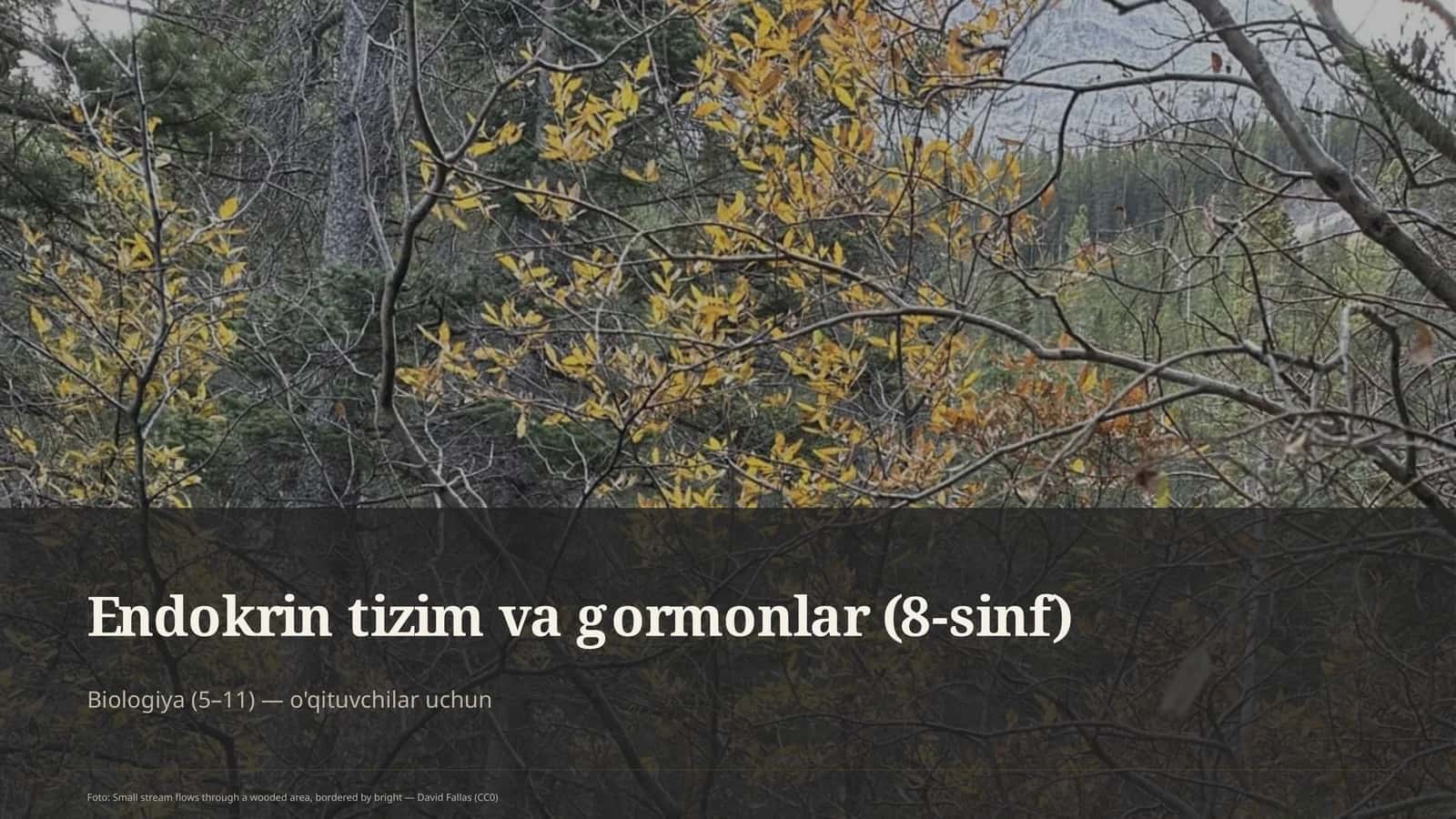 Endokrin tizim va gormonlar (8-sinf)