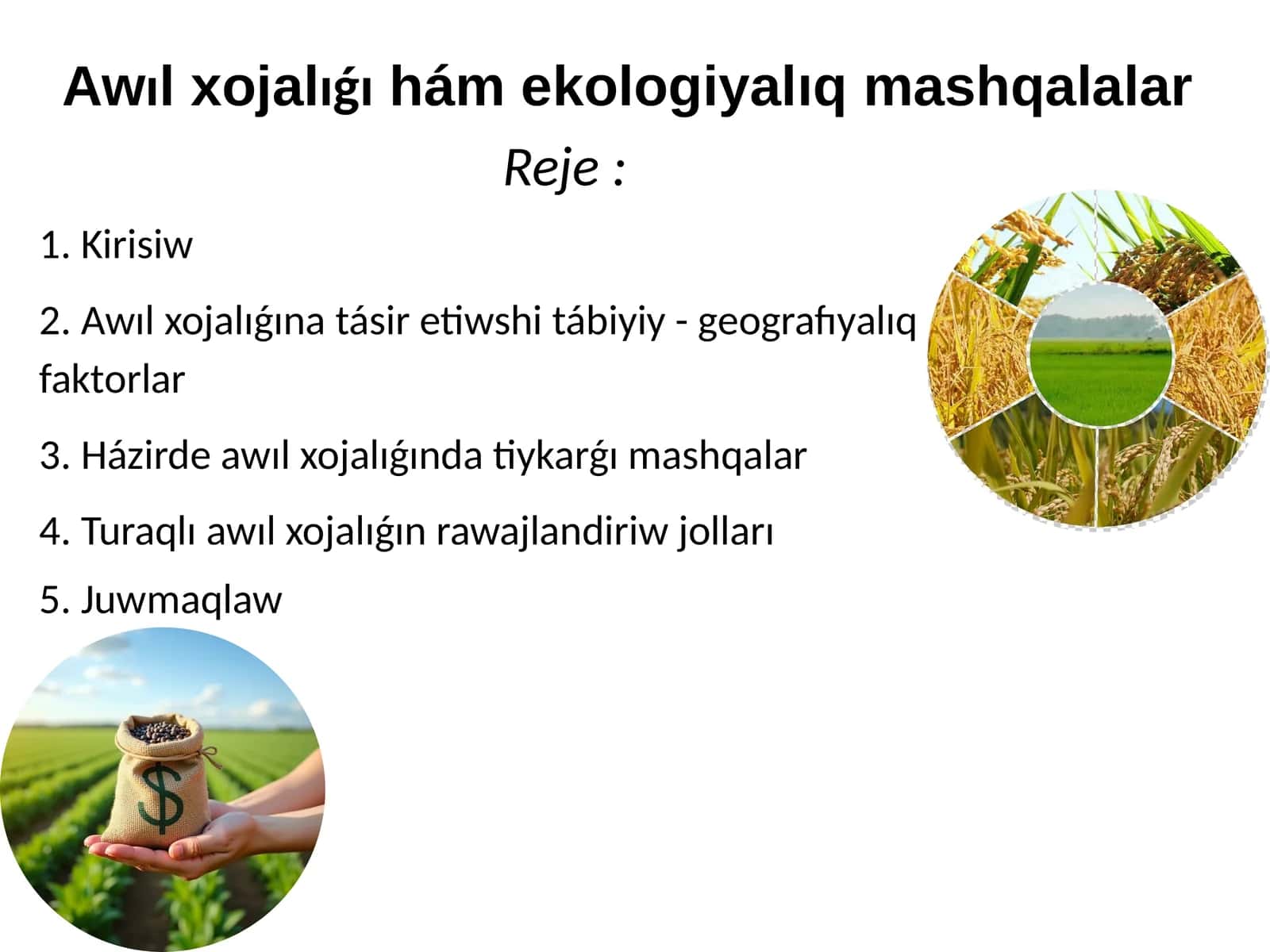 Awıl xojalıǵıhám ekologiyalıq mashqalalar