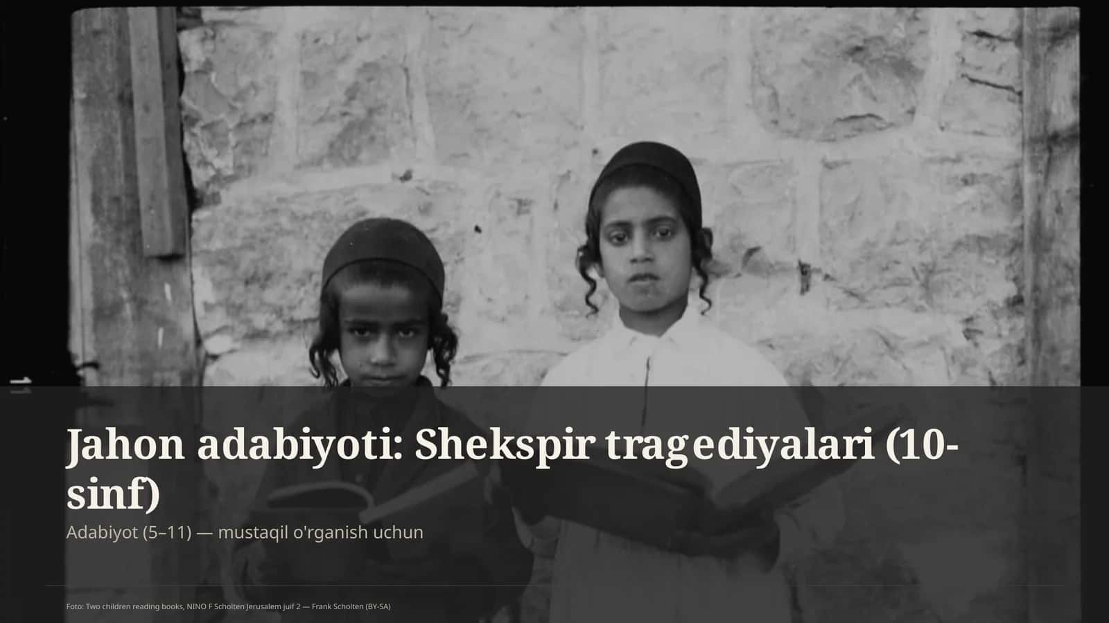 Jahon adabiyoti: Shekspir tragediyalari (10-sinf)
