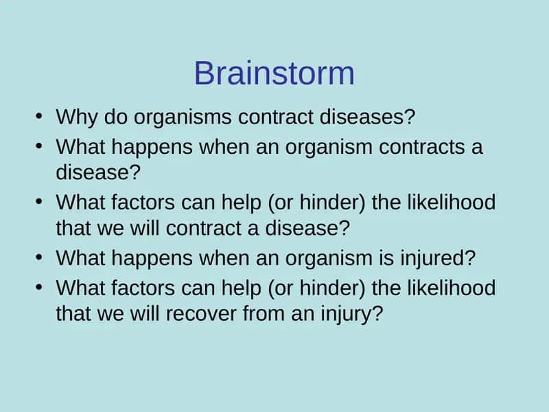 Brainstorm