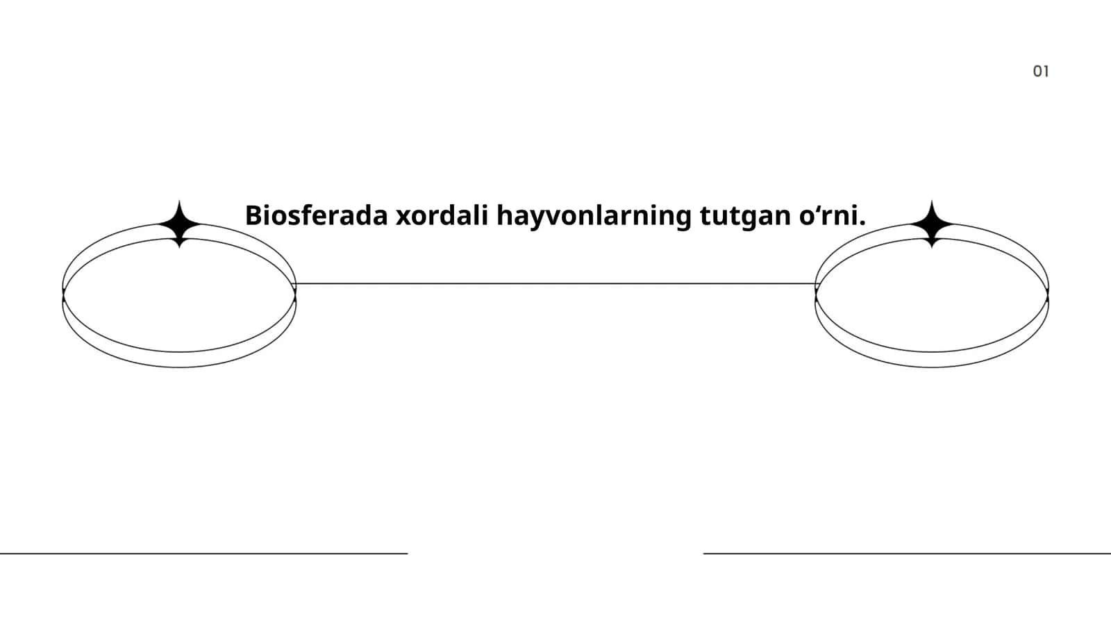 Xayvonlarning biosfera muvozanatidagi o‘rni