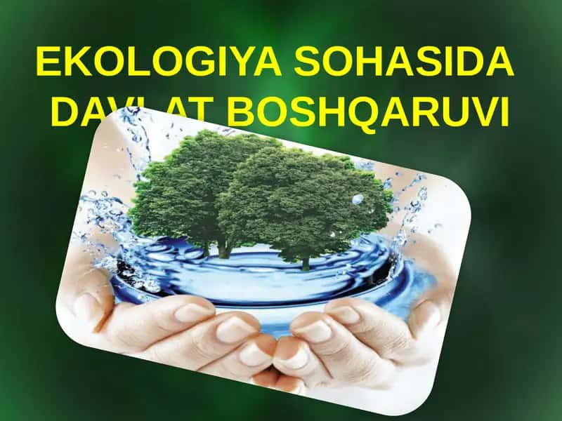 Ekologiya sohasida davlat boshqaruvi