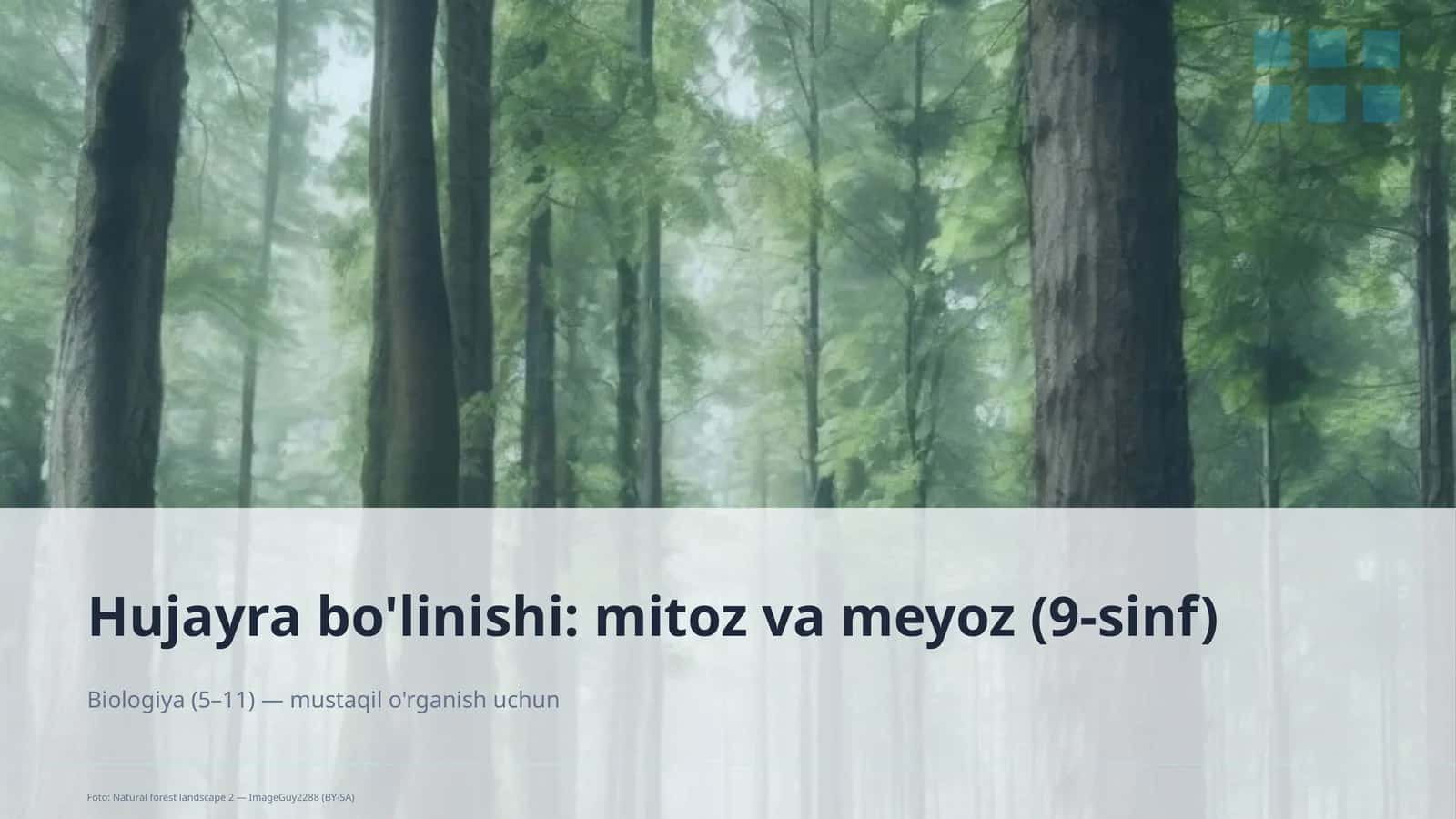 Hujayra bo'linishi: mitoz va meyoz (9-sinf)